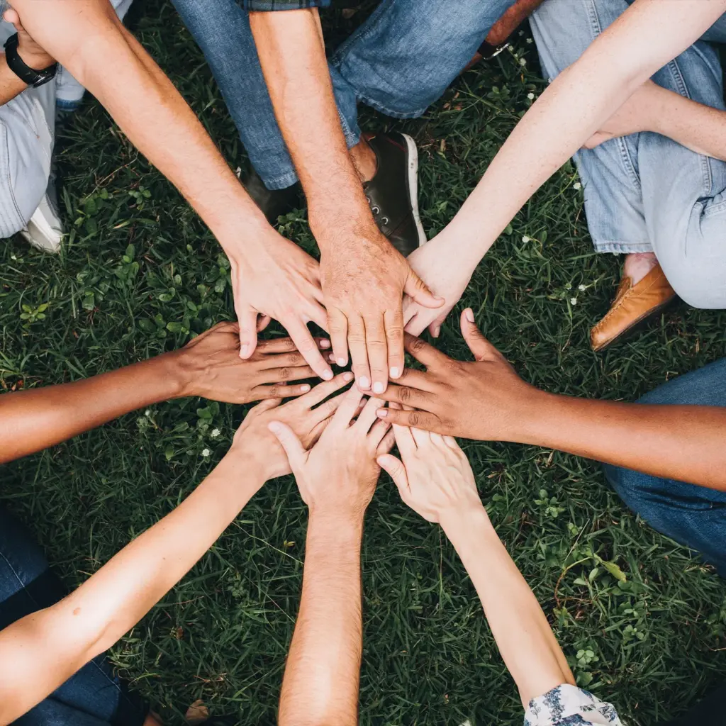 social cohesion